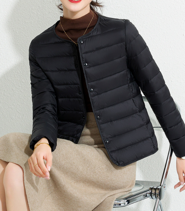 骨格ストレートノーカラーライトダウンジャケット ジャケット