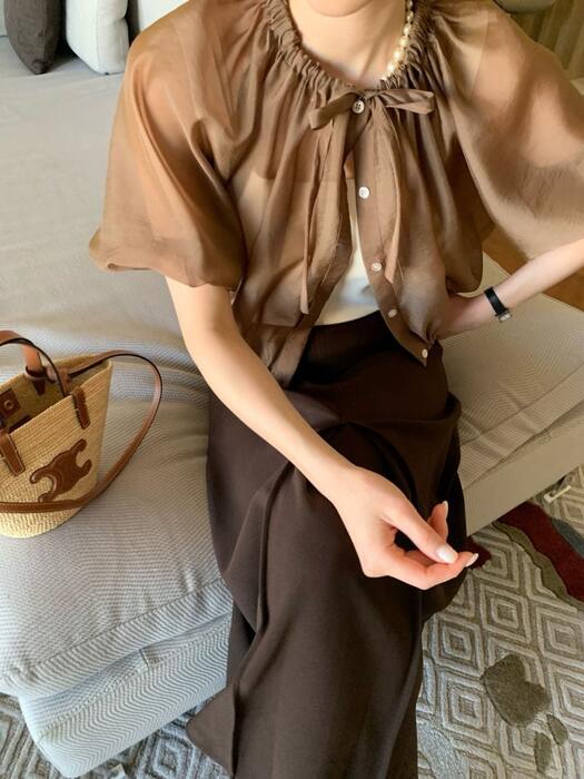 骨格ウェーブシアーパフスリーブブラウス