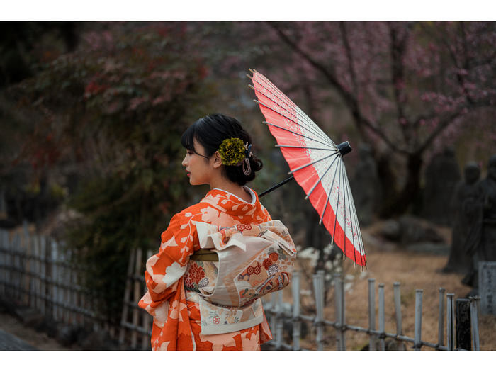 画像の説明（24）
