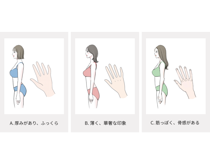 骨格診断画像