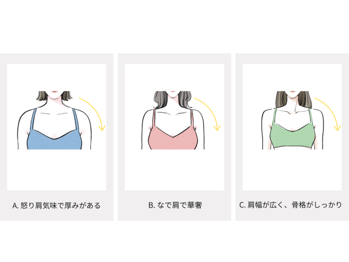 骨格診断画像