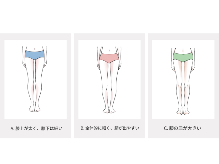 骨格診断画像