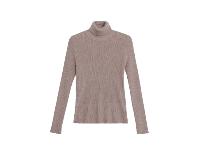 タートルネックの例